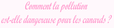 LES EAUX DES LACS ET D.. Sciences - Sciences de la Terre - 